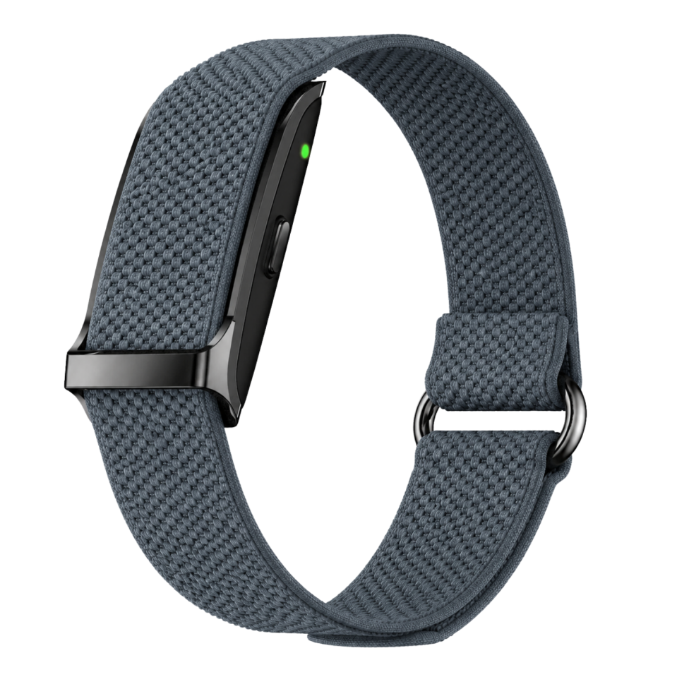 Performance Bicep Band