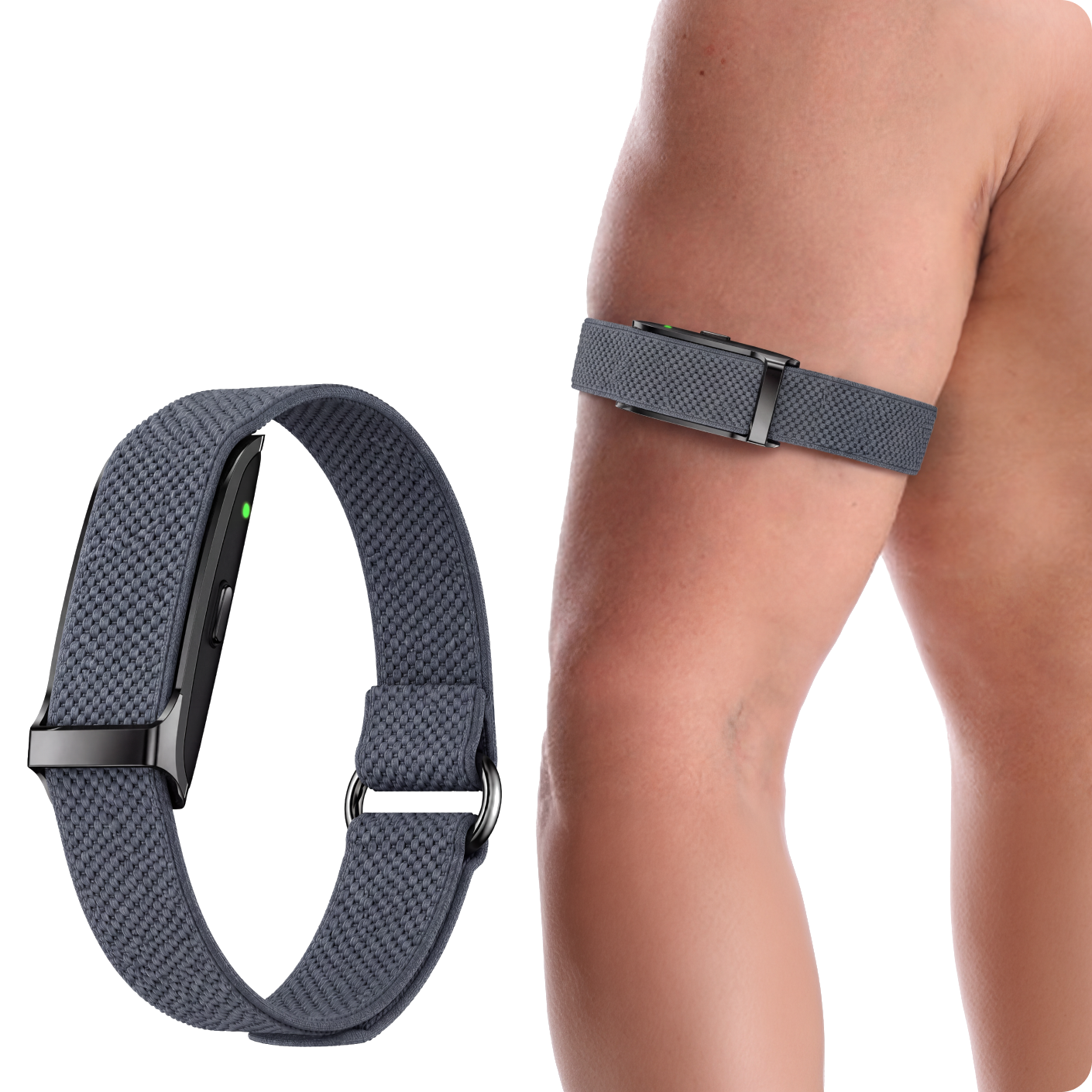 Performance Bicep Band