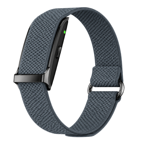 Performance Bicep Band